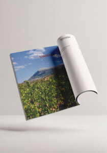 catalogo aziendale vini Enopera