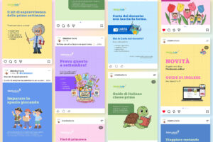 gestione social DidatticaFacile by Lampone Lab
